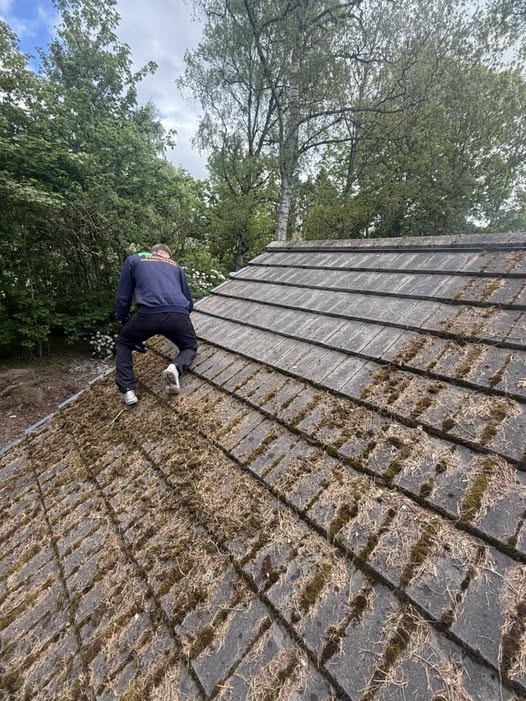 Hand-cleaned roof and de-mossing work by Cutting Edge